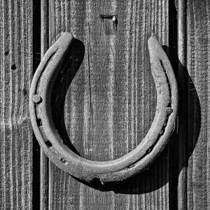 horseshoe graeme pow