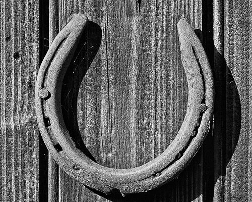 horseshoe graeme pow